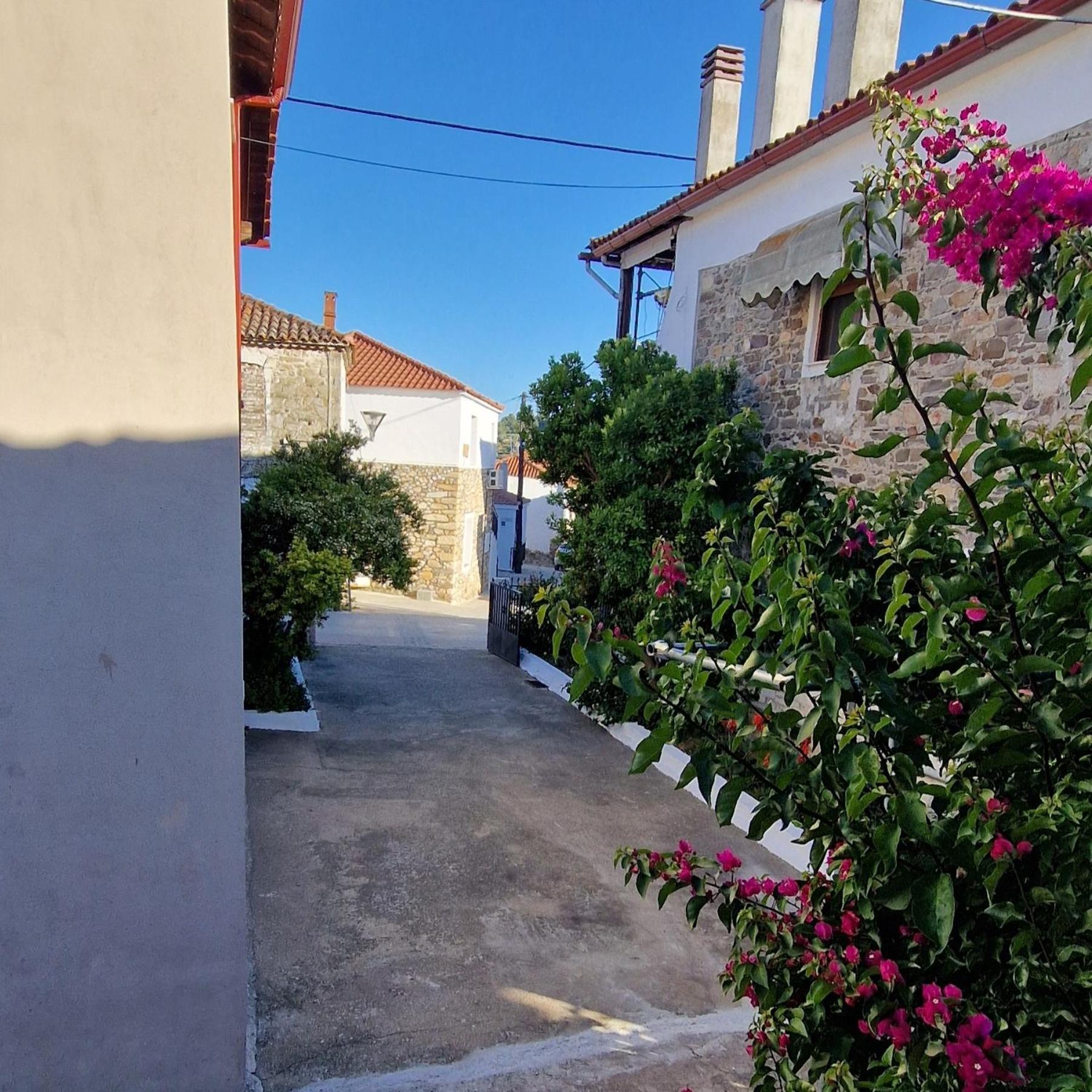 Nikolaos House