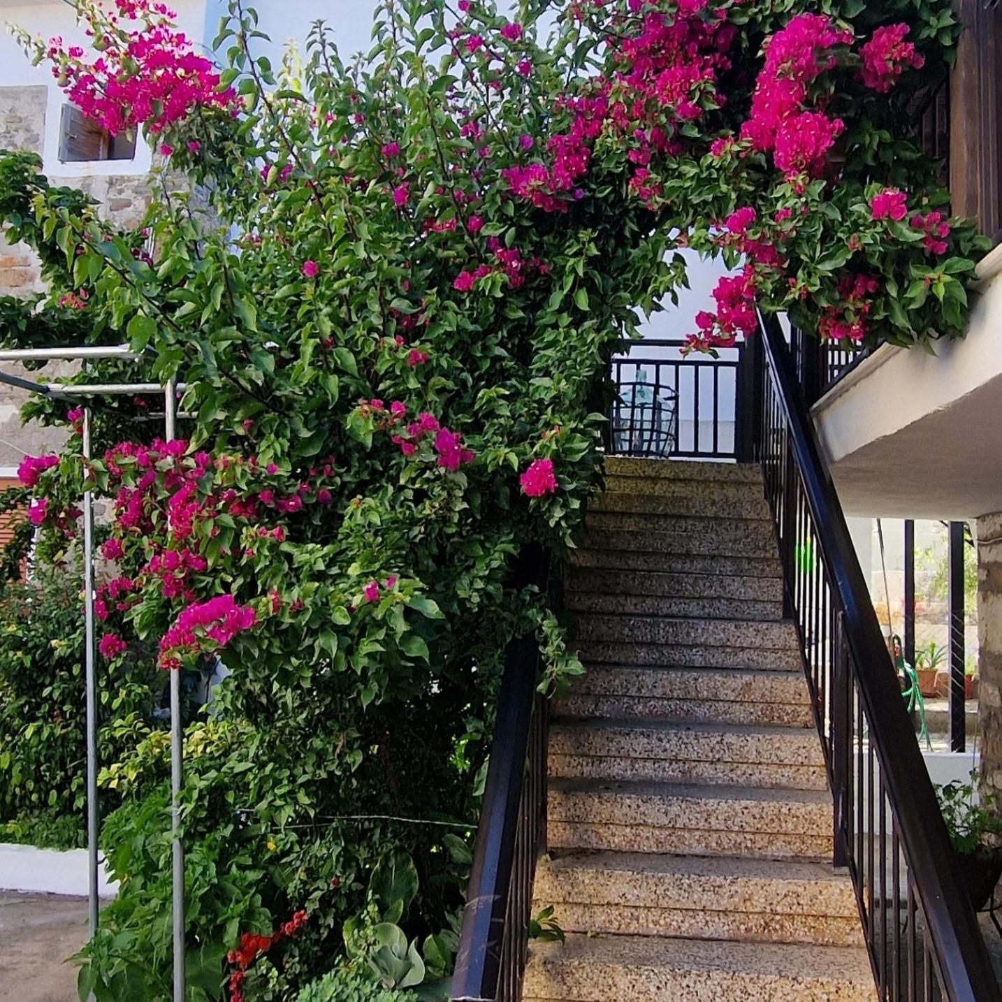 Apartment Nikolaos House Agios Nikolaos (Chalkidiki)