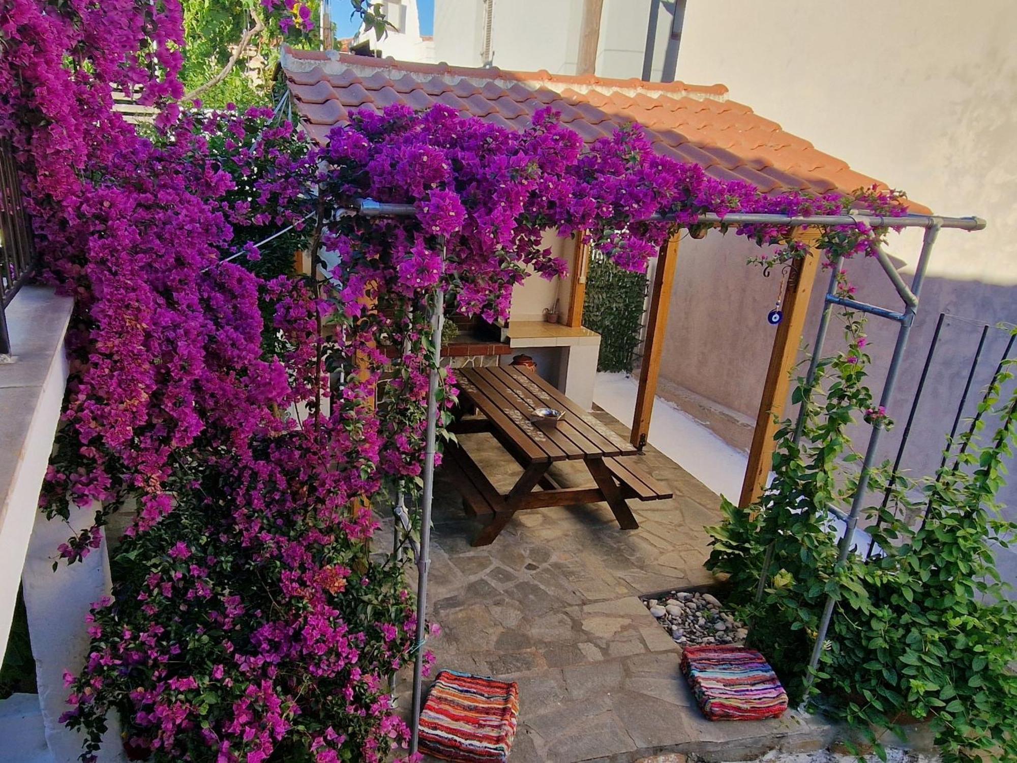 Apartment Nikolaos House